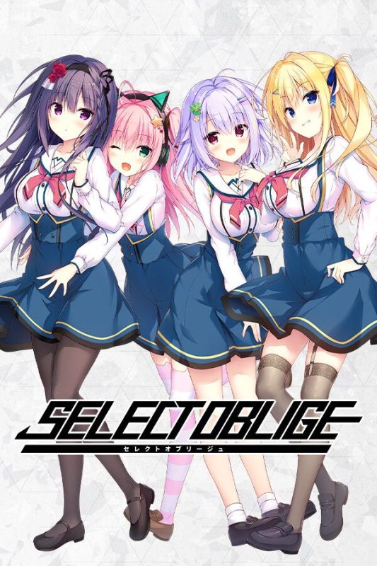 天选庶民的真命之选（SWITCH手机版）-مەرمەر بىلوگى