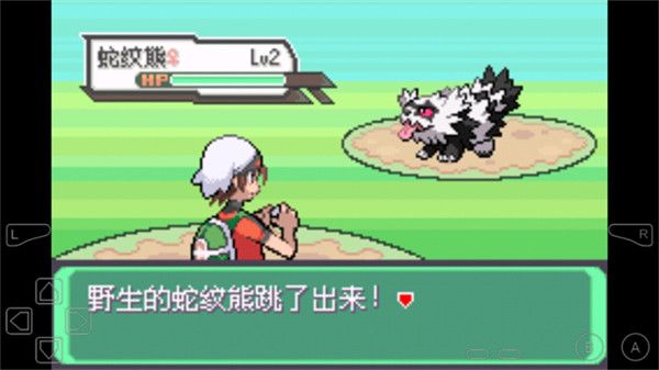 口袋妖怪 内置金手指中文多版本合集【中文版】127款-مەرمەر بىلوگى