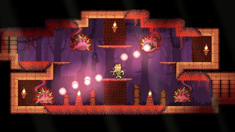 护林猿神中文switch模拟器!(游戏)-مەرمەر بىلوگى